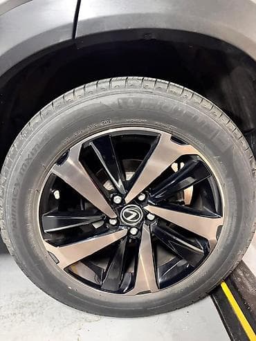 гранаты лексус: Lexus NX: 2020 г., Гибрид, Кроссовер — 3