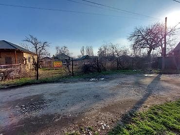 арча бешик 1: 5 соток, Курулуш, Кызыл китеп — 6