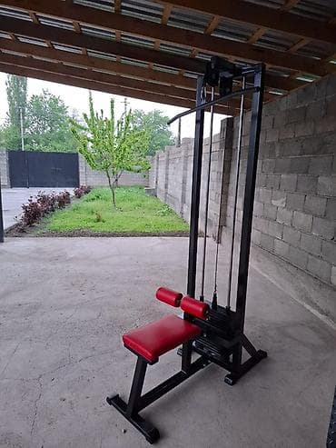 тренировочные: Силовой тренажер, Для спины, Новый, Самовывоз, Платная доставка — 2