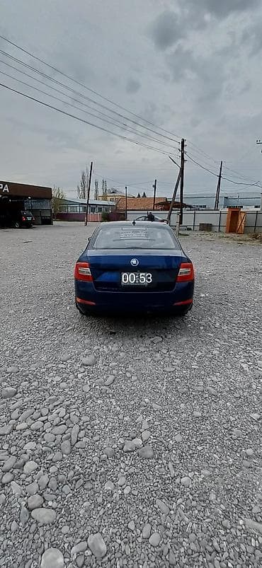 octavia: Skoda Octavia: 2017 г., 1.6 л, Автомат, Бензин, Лифтбек — 4