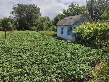 готовые домики для дачи: Дачный участок с домиком и плодородным огородом - Участок: ровный — 1