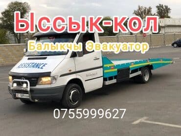 Көтөргүсү менен, Манипулятору менен, Кыймылдуу платформасы менен