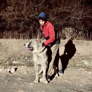 объявления отдам щенка в хорошие руки: Мощ кобель вязка пароды алабай по ? звонить — 3