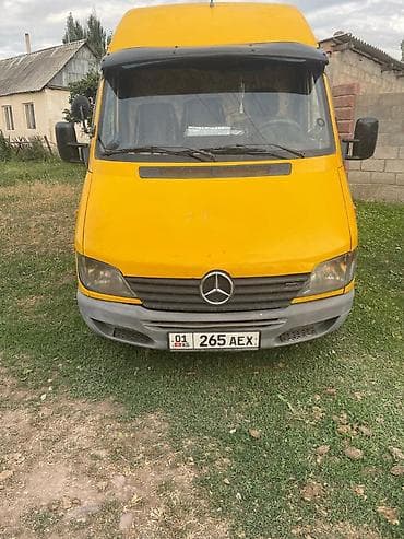 Mercedes-Benz Спринтер: 2001 г., Van — 5