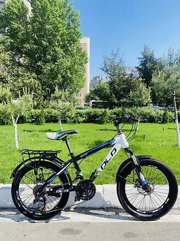 Балдар транспорту: Балдар үчүн велосипед, 2 дөңгөлөктүү, 6 - 9 жаш, Бала үчүн, Колдонулган — 1