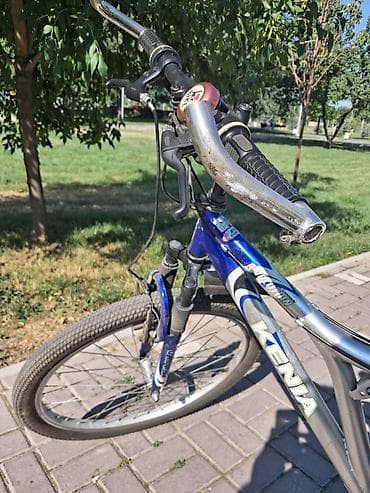fixed gear: Горный велосипед, Сталь — 5