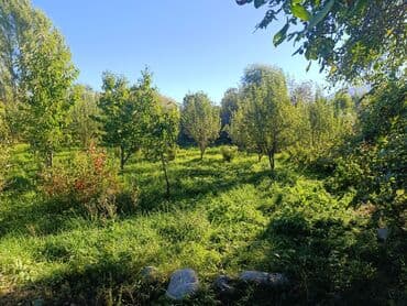 дом с беш кунгей: Дом, 50 м², 3 комнаты, Собственник, Косметический ремонт — 4