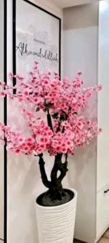 7 микрорайон квартира: 2 комнаты, 60 м², Индивидуалка, 1 этаж, Косметический ремонт — 1