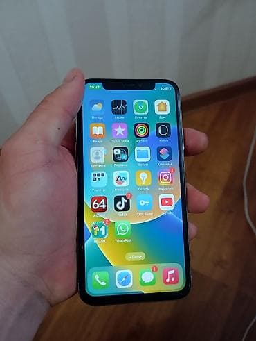 IPhone X, Серебристый