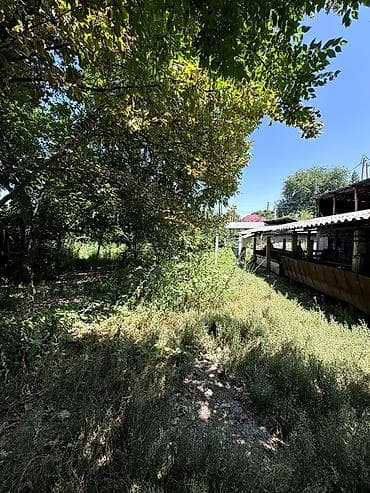 12 соток — 3