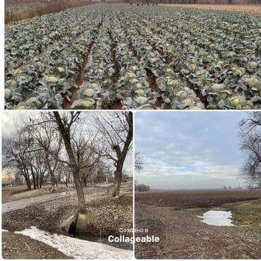 3400 соток, Для сельского хозяйства, Красная книга