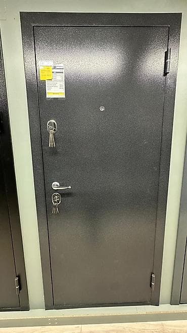 solutions elementary: Двери для домов и квартир, Металлическая, Одностворчатая, цвет - Серый — 1