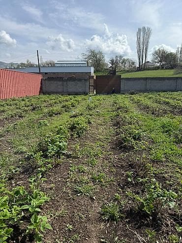 светлая поляна: 15 соток, Для сельского хозяйства, Красная книга — 1