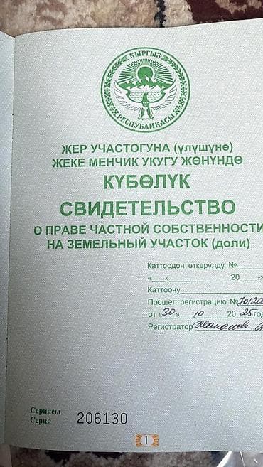 Жер тилкелери: 80 соток, Айыл чарба үчүн, Сатып алуу-сатуу келишими — 2