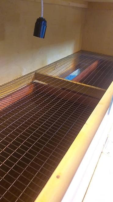 Собаки: Брудеры для цыплят. размеры 150 х 50 х 65 см. Яйцо Брама — 4