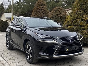 lexus 470 2004: Lexus NX: 2019 г., 2.5 л, Автомат, Гибрид, Кроссовер — 6