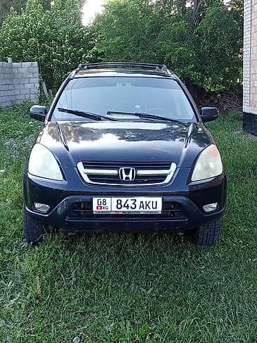 Honda CR-V: 2002 г., 2.4 л, Автомат, Бензин, Кроссовер