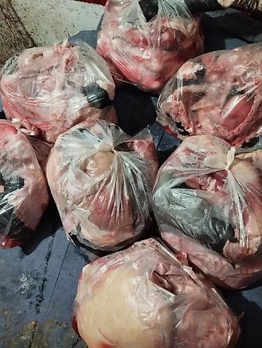 куплю собаку: Куски Мяса Рёбрышки Шеи Переднии и задние лопатки Без — 1