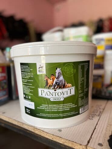 лошадь: ВИТАМИНЫ ДЛЯ ЛОШАДЕЙ В большом ассортименте Адрес : Алматинская 97а — 10