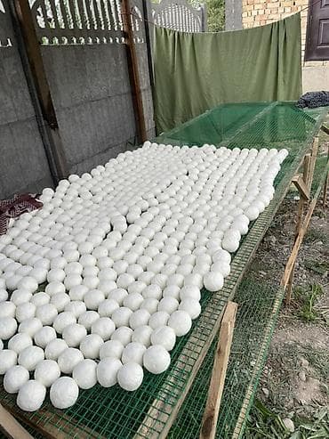 куплю продам мед: Натуральный курут (шарики) - Традиционный молочный продукт в виде — 3