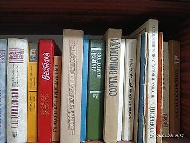 Китептер жана журналдар: От 5 книг все по 50сом до конца апреля! Распродажа домашней — 1