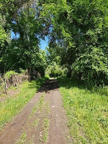 Продаются 2 комнатный старый дом, Джайилский район, Новониколевка ( — 5
