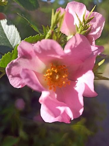 Китептер: Продаются б.у. разные книги цена зависит от книги.6 мкр — 1