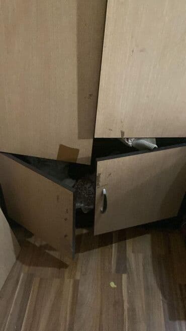 ремонт деревянных межкомнатных дверей: Ремонт мебели любой сложности: комоды,тумбы,шкафы,кровать, весь — 10