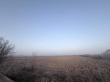 Земельные участки: 600 соток, Для сельского хозяйства, Договор купли-продажи — 10