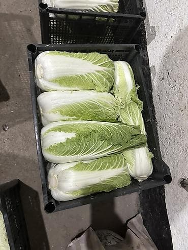 Соусы и специи: Капуста Пекинская — 2