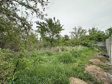 павлония кыргызстан: 5 соток, Для строительства, Красная книга, Тех паспорт, Генеральная доверенность — 3