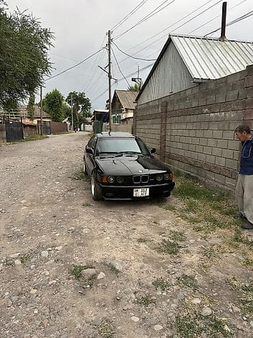 abs e39: BMW 5 series: 1993 г., 2.5 л, Механика, Бензин, Седан — 2