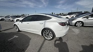 спортивная машына: Tesla Model 3: 2020 г., Автомат, Электромобиль, Седан — 7