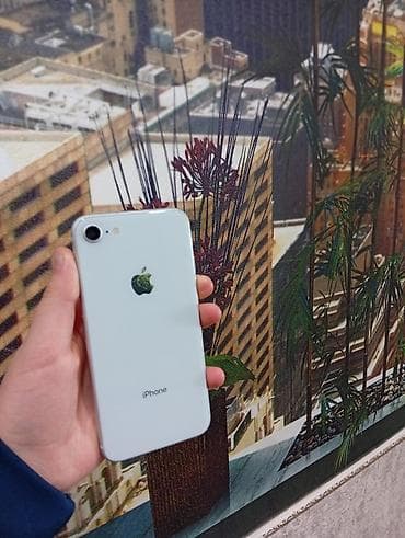 tecno camon 18 цена в бишкеке: IPhone 8, Новый, 64 ГБ, Белый — 1