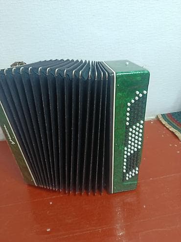 Спорт жана хобби: Баян 4500 Гитара 2500 — 2