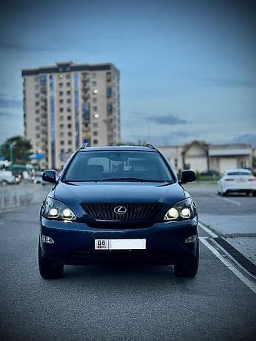 m зеркало: Lexus RX: 2006 г., 3 л, Автомат, Газ, Кроссовер — 2
