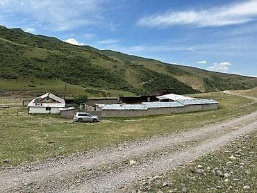 беловодское продажа квартир: 100 соток, Красная книга — 8