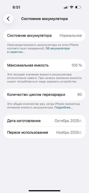сумка кобура: IPhone 17 Pro, Колдонулган, 256 ГБ, Ак, Куту, 100 % — 4