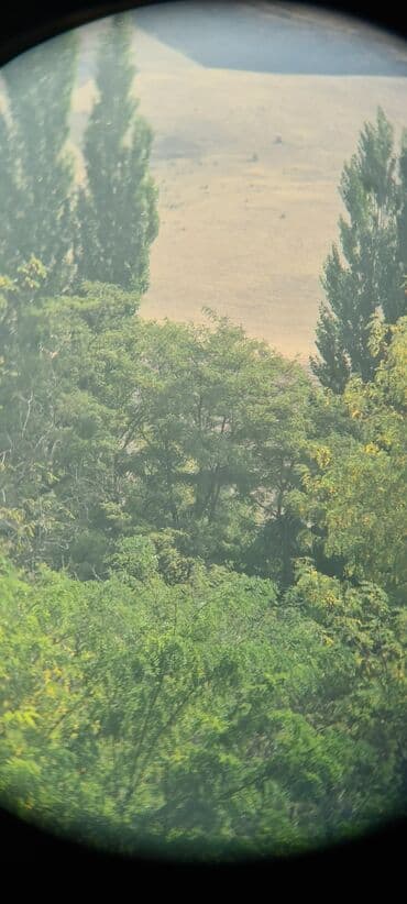 прикормочный кораблик с эхолотом и gps: Бинокль Barr & Stroud C.F.24, Glasgow & London. Параметры — 5