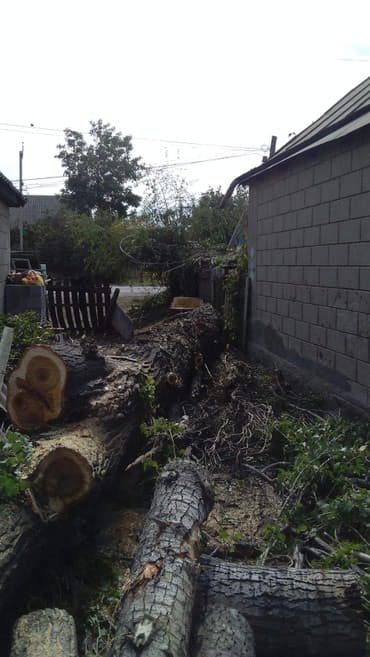 слом дома и вывоз мусора цена: Спилить дерево! Нет проблем. Очистить от разросшихся кустарников и — 3