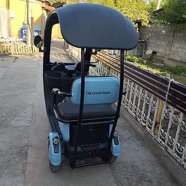 motor cycle: Срочно Электрический трёхколёсный скутер-такси «Летучий Конь» - — 4