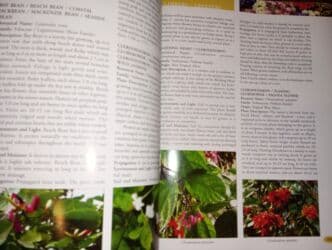 Шкафы для трансформатора: Энциклопедические словари б/у в хорошем состоянии 💥 Энциклопедический — 19