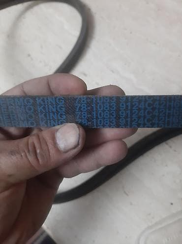 ремень двигателя: Ремень Mercedes-Benz 1999 г., Новый, Оригинал — 5