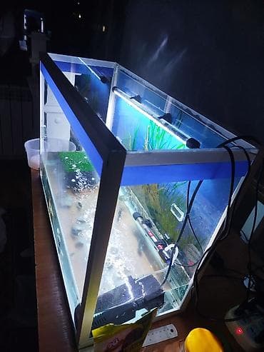 big 6: Аквариумный комплект на 80 литров для домашних рыб и водных черепах — 6