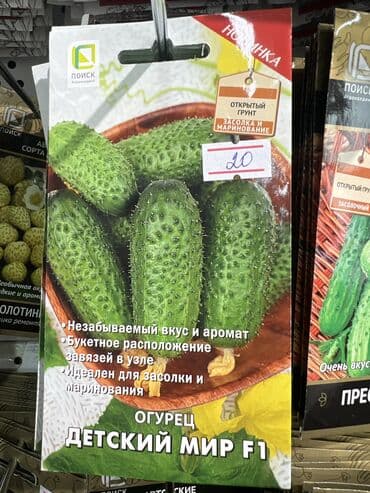 картофель семена: Уруктар жашылчалардын: Сабиз, Бадыраңдар, Капуста, Өзү алып кетүү, Акылуу жеткирүү — 10