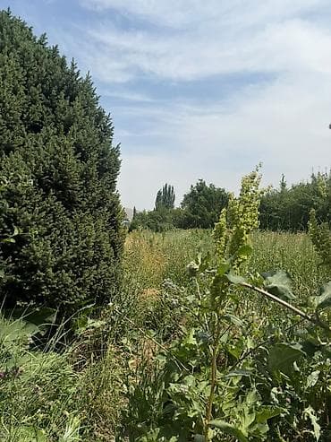 Земельные участки: 20 соток — 2