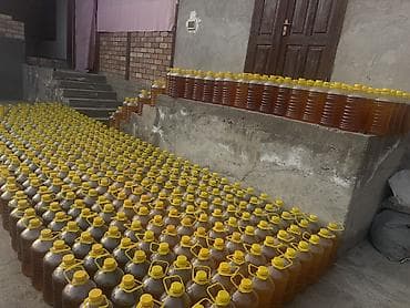 прадаю мясо: Масло хлопковый в любом обьеме, доставка обсуждается… есть еще и жмых — 5