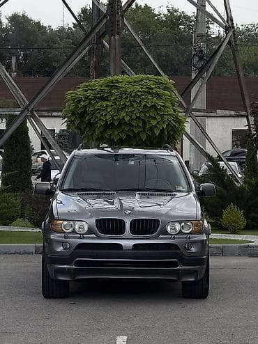 BMW X5: 2004 г., 3 л, Автомат, Бензин, Внедорожник
