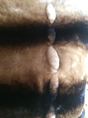 Спецодежда: Продаю шубу мутон в отличном состоянии.50 размер.ватсапп — 3