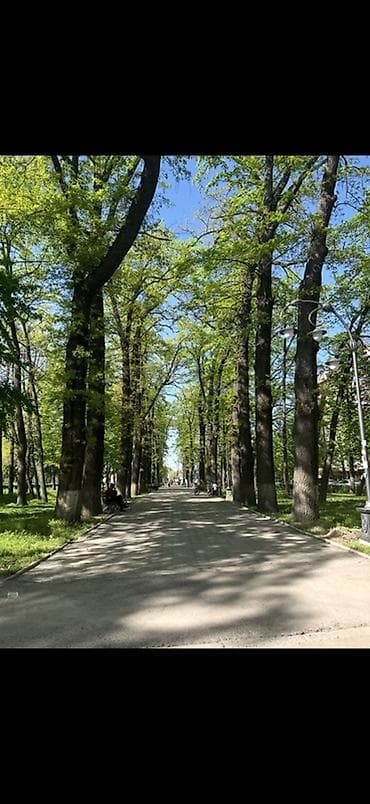 elegance stroy: 3 комнаты, Собственник, Без подселения, С мебелью полностью — 1